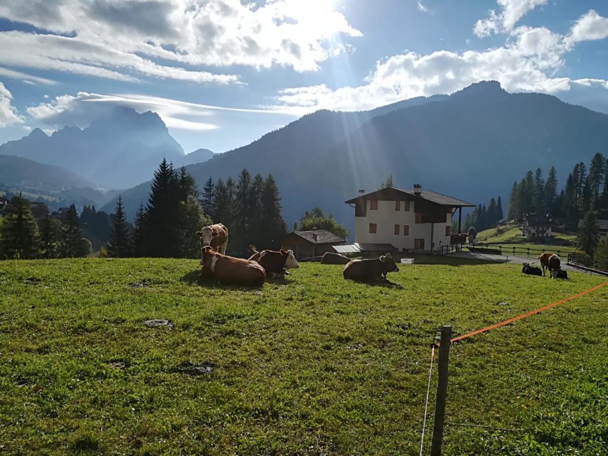 Apartmán Cesa De Conesel Colle Santa Lucia Exteriér fotografie