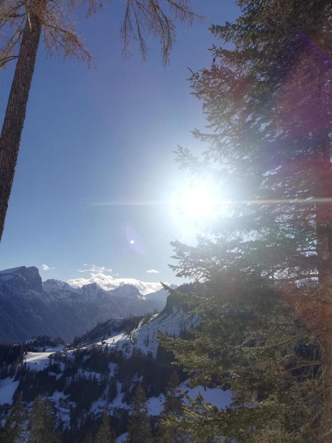 Apartmán Cesa De Conesel Colle Santa Lucia Exteriér fotografie